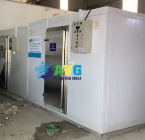 kho đông tại nam định