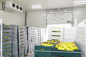 Lắp đặt kho lạnh bảo quản trái cây